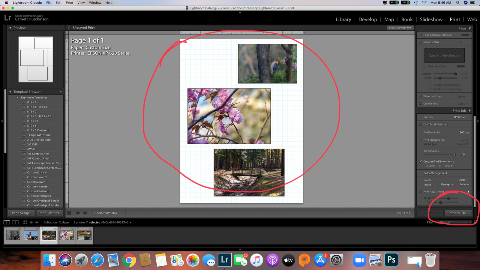 How to Make a Collage in Lightroom 365 Picture Today